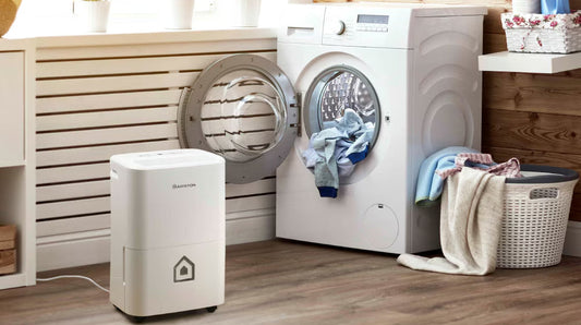 Páramentesítő: a tiszta és egészséges otthon alapja